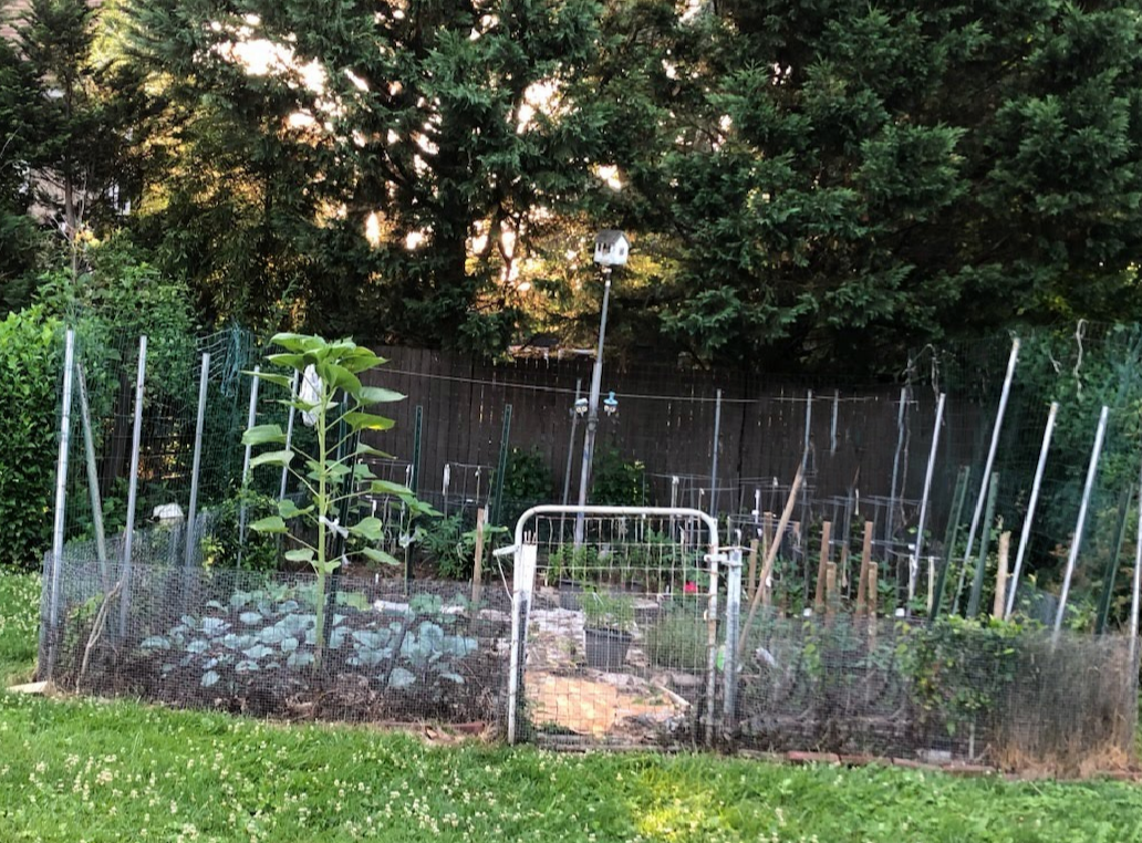 A garden awaiting Spring Planting